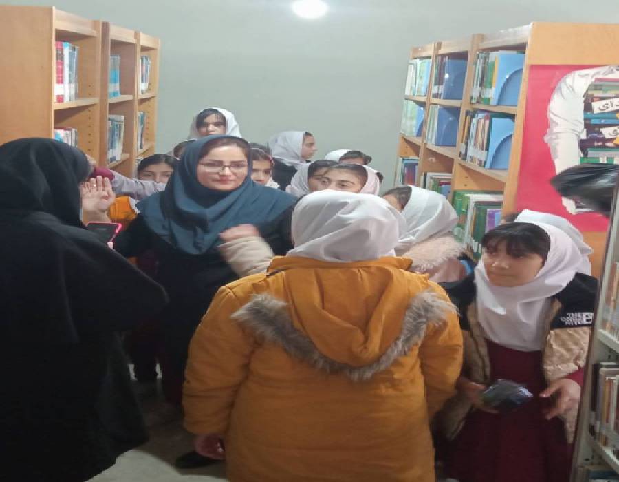 بازدید