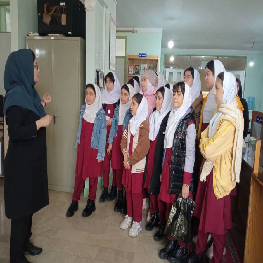 بازدید